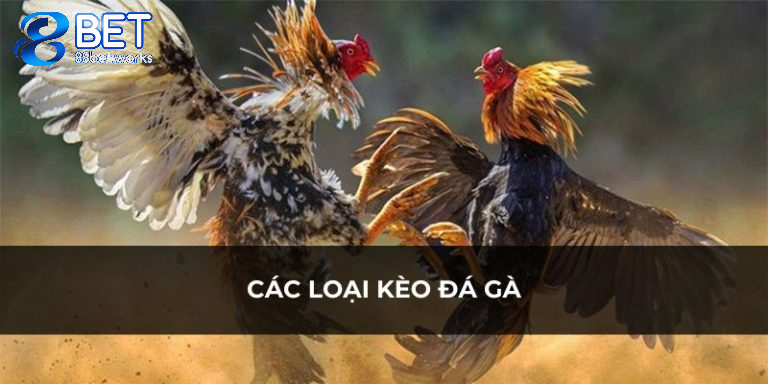 Các loại kèo đá gà thumb